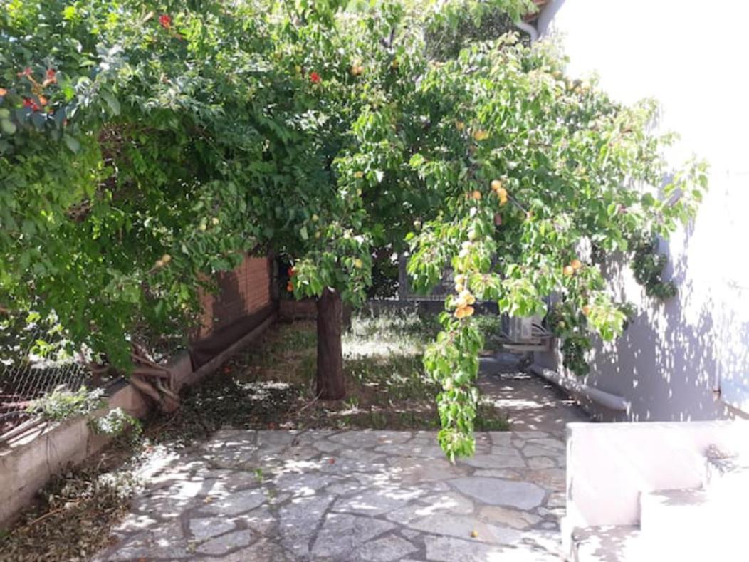 Le Galli En Plein Coeur De Sanary Kültér fotó